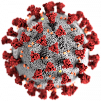 Illustration des SARS-CoV-2 Virus - (c) Wikipedia