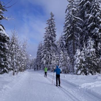 Der Thurner törnt an, die Skilanglauf-Loipe im Hochschwarzwald - (c) Klaus Pfenning