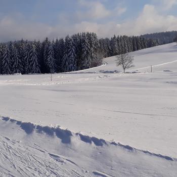Der Thurner törnt an, die Skilanglauf-Loipe im Hochschwarzwald - (c) Klaus Pfenning