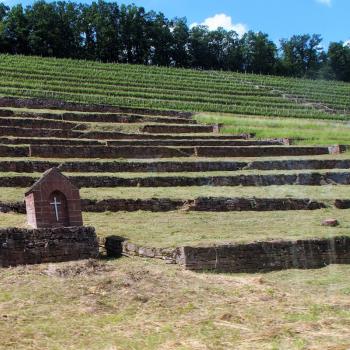 Weinwandern im Lieblichen Taubertal, eine wunderbare Region um zu Fuß vieles über Weinbau und -geschichte zu erfahren - (c) Tourismusverband Liebliches Taubertal / Tom Weller