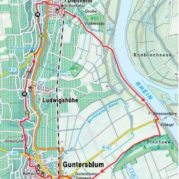 Auf dem Rheinhöhenweg von Guntersblum nach Dienheim, Weinberg bei Oppenheim