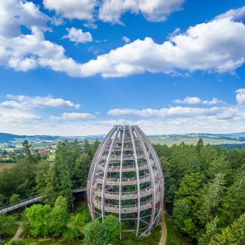 Baumwipfelpfad Bayerischer Wald - Hochgefühle auf den Baumwipfelpfaden der Erlebnis Akademie AG - (c) Erlebnis Akademie AG