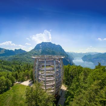 Baumwipfelpfad Salzkammergut - Hochgefühle auf den Baumwipfelpfaden der Erlebnis Akademie AG - (c) Erlebnis Akademie AG