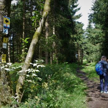 Noch geht es eine gute Wegstrecke durch den Wald, der immer wieder durch Basaltfelsen unterbrochen wird - Wandern im Vogelsberg – Die Gipfeltour Schotten - (c) Gabi Vögele