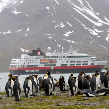 Eiskaltes Paradies am Ende der Welt