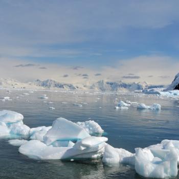 Eiskaltes Paradies am Ende der Welt