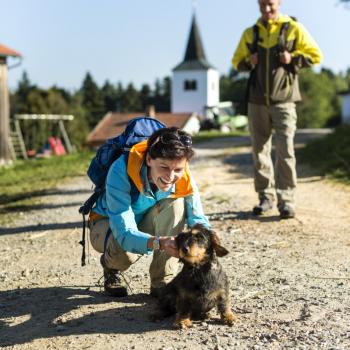 „Wandern mit Hund“ auf den Top Trails of Germany - durch Wald und Wiesen mit dem Vierbeiner: Die schönsten Wandertouren mit Hund auf den 13 deutschen Spitzenwanderwege - (c) Top Trails of Germany
