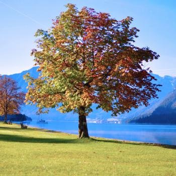 Wer am Achensee Urlaub macht, kann sich jeden Tag neue Erlebnisse gönnen, romantische Herbststimmung garantiert - (c) Achensee Tourismus