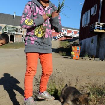 Ostgrönland - die Menschen hier sind arm, und das Leben hart auf der Grönländischen Insel Amassalik