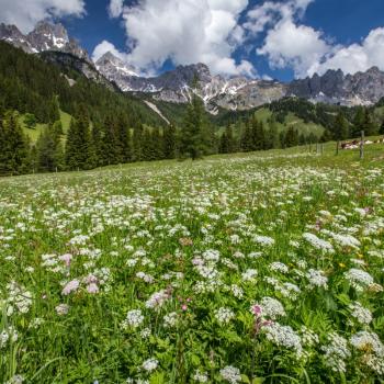 Wandervielfalt in Österreichs Wanderdörfern - Impression bei Filzmoos - (c) TVB Filzmoos Cön Weejes