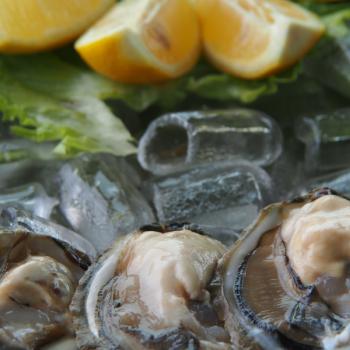 Genusswandern in Kroatien bei Stone zum Austern Essen