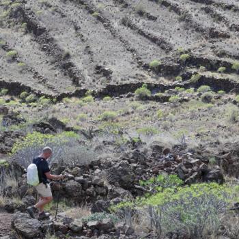 Auf und ab und einmal rum, Weitwanderweg GR 132 rund um La Gomera - (c) Klaus Pfenning