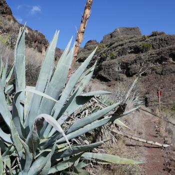 Auf und ab und einmal rum, Weitwanderweg GR 132 rund um La Gomera - (c) Klaus Pfenning