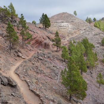Auf und ab und einmal rum, Weitwanderweg GR 132 rund um La Gomera - (c) Klaus Pfenning