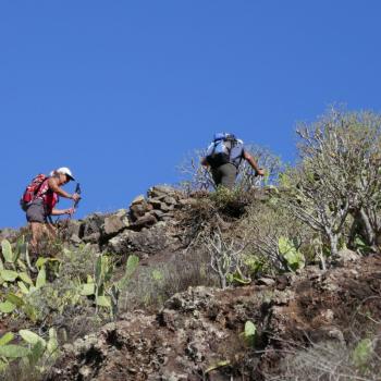 Auf und ab und einmal rum, Weitwanderweg GR 132 rund um La Gomera - (c) Klaus Pfenning