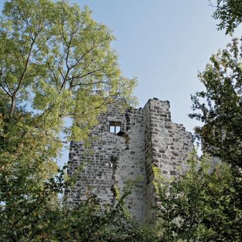 Naturpark Siebengebirge Ruine Drachenfels am Mittelrhein