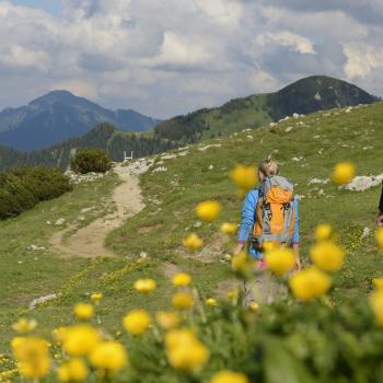 Wundervolles Wandern im Chiemgau - (c) Norbert Eisele-Hein