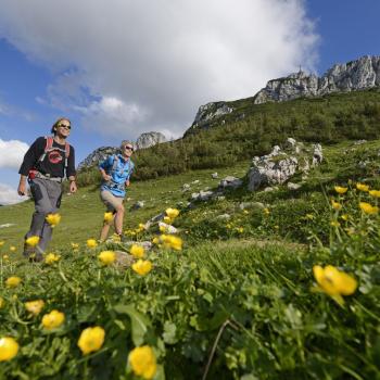 Wundervolles Wandern im Chiemgau - (c) Norbert Eisele-Hein
