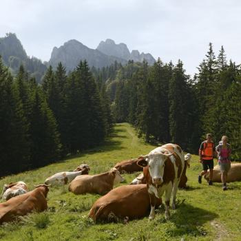 Wundervolles Wandern im Chiemgau - (c) Norbert Eisele-Hein