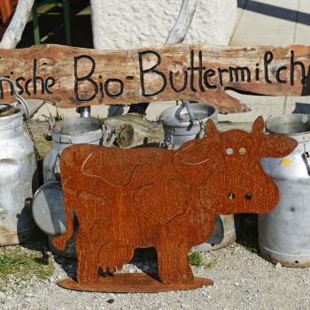 Wundervolles Wandern im Chiemgau - (c) Norbert Eisele-Hein