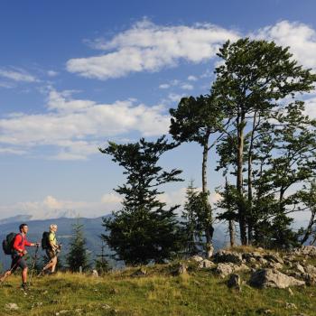 Wundervolles Wandern im Chiemgau - (c) Norbert Eisele-Hein