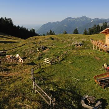 Wundervolles Wandern im Chiemgau - (c) Norbert Eisele-Hein
