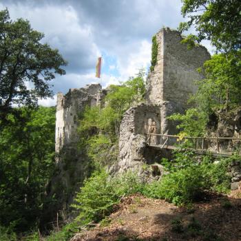 Ruine Johannstein im Naturpark Sparbach - (c) Niederösterreich Naturparks