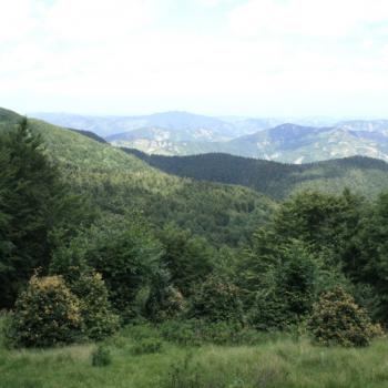 Parco Nazionale delle Foreste Casentinesi - (c) Wikipedia