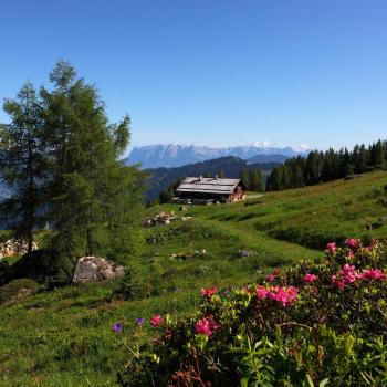 Wandervielfalt in Österreichs Wanderdörfern - Saukarakm im Großarltal - (c) TVB Großarltal