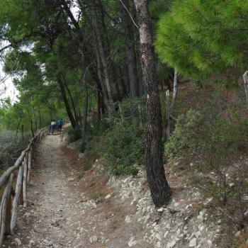 Impressionen des Wanderwegs Sentiero Natura im Gargano/Apulien - (c) Nicoletta De Rossi