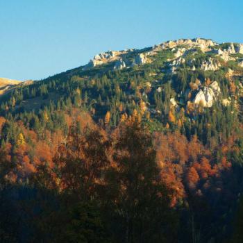 Zu prächtigen Aussichtspunkten hoch über dem Seetal und Seeberg - (c) Rother Bergverlag