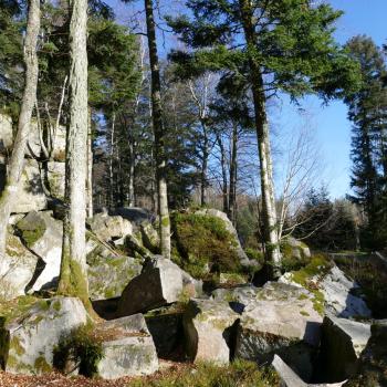 Die „Volzemer Steine“ liegen direkt an der 1. Etappe des „Westwegs“ von Pforzheim in Richtung Dobel. 1949 wurde die eindrucksvolle Felsformation als Naturdenkmal ausgewiesen, das einst Bewohner des Nordschwarzwalds als Steinbruch zur Fertigstellung von Brunnentrögen und Mühlsteinen nutzten - (c) Sabine Zoller