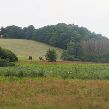 Naturtour Nidda - Eine idyllische Tour durch 2 Naturschutzgebiete, mit schönen Waldrandwegen und Waldpfaden - (c) Jörg Bornmann