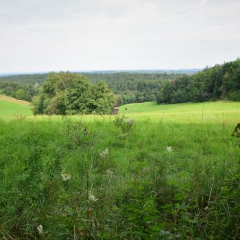 Schächerbachtour - In kurzer Zeit viel Erleben garantiert diese kleine Runde durch das sagenhafte Schächerbachtal - (c) Gabi Vögele