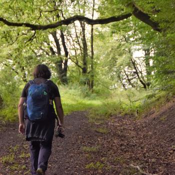 Schächerbachtour - In kurzer Zeit viel Erleben garantiert diese kleine Runde durch das sagenhafte Schächerbachtal - (c) Gabi Vögele