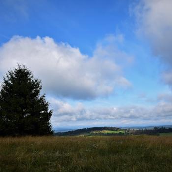 Eschenrod-StauseeTour - Ein geologisches Highlight ist die beeindruckende Basaltformation am Alteburgkopf, ein erkalteter Lavastrom aus der vulkanischen Vergangenheit des Vogelsberges - (c) Gabi Vögele