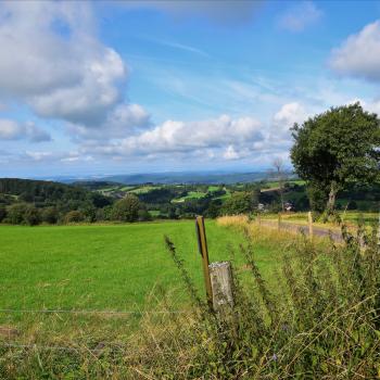 Schächerbachtour - In kurzer Zeit viel Erleben garantiert diese kleine Runde durch das sagenhafte Schächerbachtal - (c) Gabi Vögele