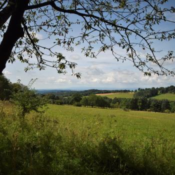 Amanaburch Tour - Eine Berg- und Talwanderung rund um die Basaltkuppe, auf der die Stadt Amöneburg thront - (c) Gabi Vögele