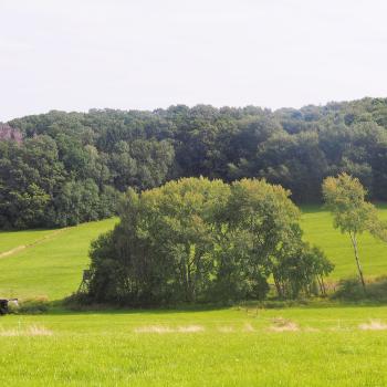 Weitblicktour Ulrichstein - Rundweg um Ulrichstein inmitten herrlicher Laubwälder und kleinräumiger Flurlandschaften - (c) Jörg Bornmann