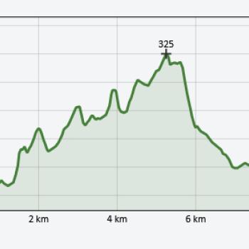 Schächerbachtour - In kurzer Zeit viel Erleben garantiert diese kleine Runde durch das sagenhafte Schächerbachtal - (c) Vulkanregion Vogelsberg Tourismus