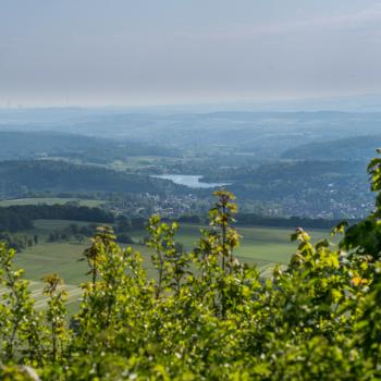 Höhenrundweg - Dieser Wanderweg führt zu den Highlights rund um den Hoherodskopf - (c) Christinia Marx, www.vogelsberg-fotos.de