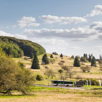 Höhenrundweg - Dieser Wanderweg führt zu den Highlights rund um den Hoherodskopf - (c) Steffen Löffler, Fulda