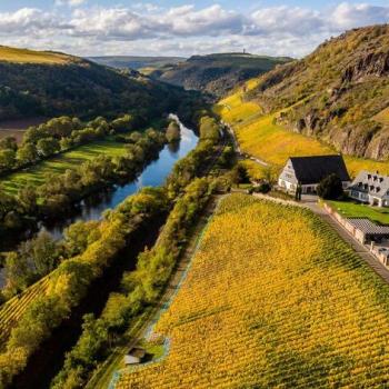 „Schönste Weinsicht“ an der Nahe - Herbsttour auf dem Niederhäuser Weinwanderweg - (c) Naheland-Touristik GmbH