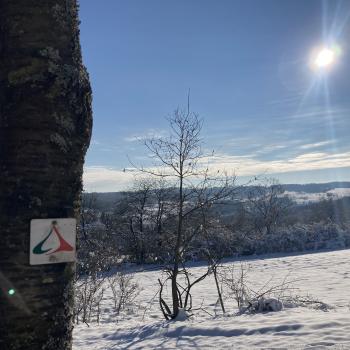 Winterliche Wanderfreuden in der Vulkanregion Vogelsberg - (c) Ilka Schacht