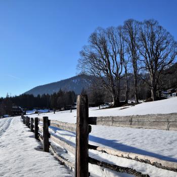 Genussvoller Winterspaß in der Region Schladming-Dachstein, das sind Winteraktivitäten aller Art und jeden Tag eine andere Almkulinarik-Hütte besuchen - (c) Gabi Vögele