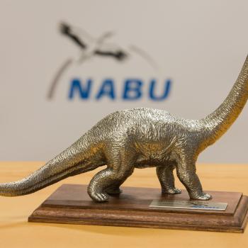 NABU-Negativpreis: Dinosaurier des Jahres 2022 geht an die Oder - (c) NABU/Klemens Karkow