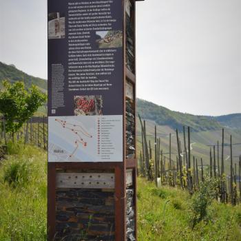 Neben tollen Ausblicken ins Moseltal bietet der Weg auf 14 Info-Stelen auch viele Informationen zur Natur im Weinberg - (c) GabiVögele