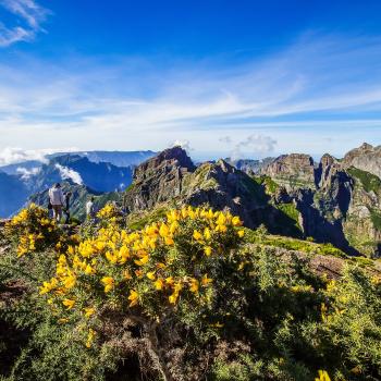 Wandern auf Madeira, ein Wanderziel für das ganze Jahr - (c) franky1st auf Pixabay