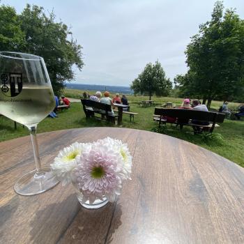 Rauenthaler Weinprobierstand, Aussicht gratis - (c) Thomas Rentschler