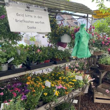 Sonntags hat der Blumenladen in Frauenstein geschlossen. Besucher können das Geld in den Briefkasten werfen - (c) Thomas Rentschler